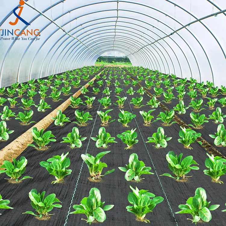 PP ແສ່ວ weed mat