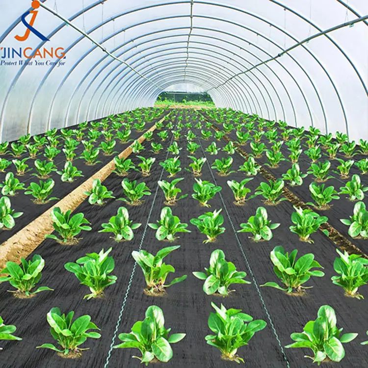 ອຸປະສັກທີ່ອຸປະສັກດ້ານຫຍ້າທີ່ມີອາການຫຍ້າທີ່ມີຂົນສີນ້ໍາສ້າງ