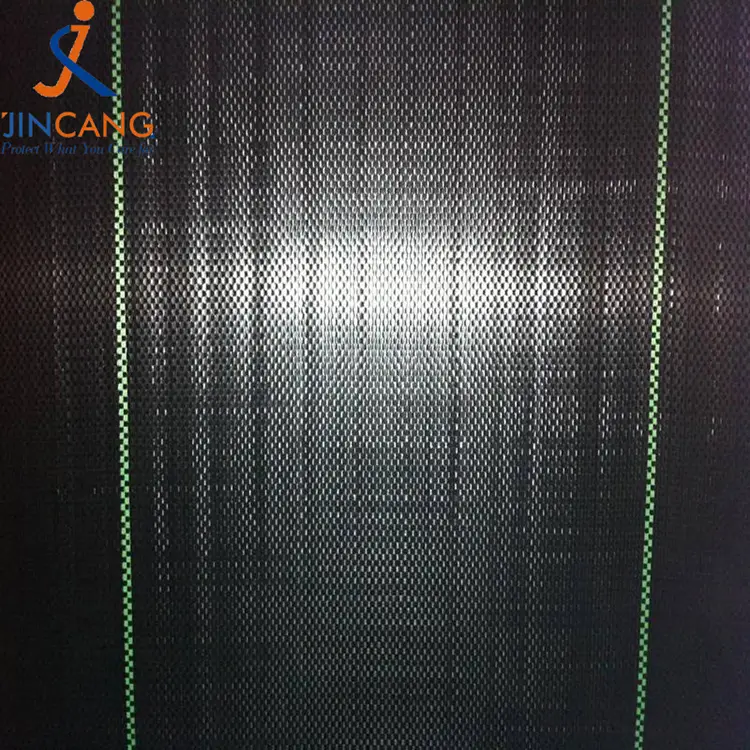 ຂີ້ຫູດທີ່ທົນທານ