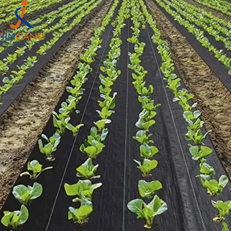 ຜ້າພັນສັດທີ່ເປັນຫຍ້າທີ່ໃຊ້ຫຍ້າ p p ສວນທີ່ຖືກຄວບຄຸມສວນ